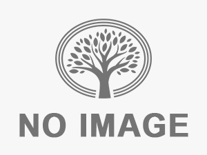 弁理士 片桐貞典 登録番号16350